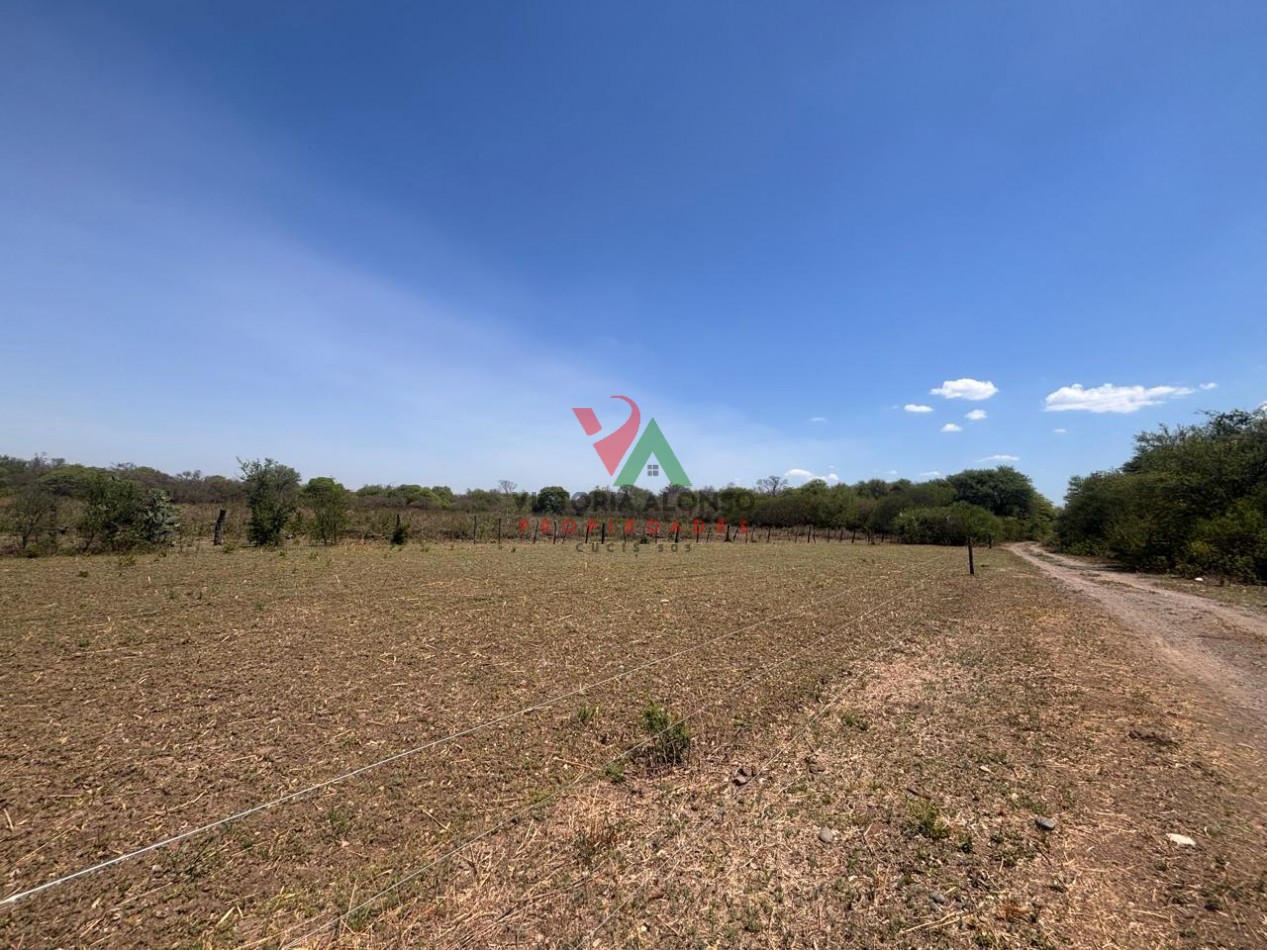 Venta de hectareas en finca Balbuena