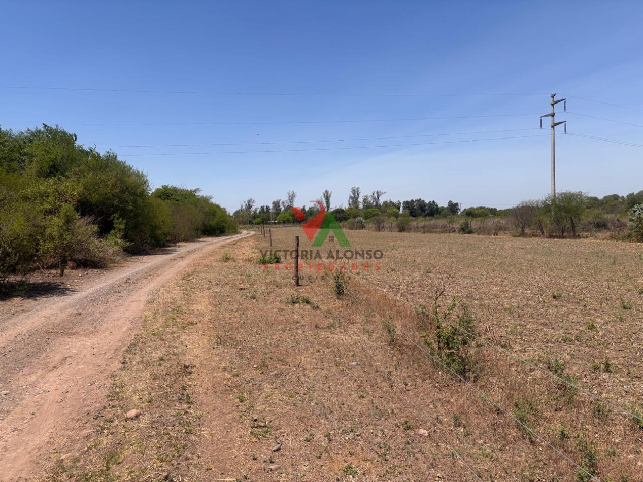 Venta de hectareas en finca Balbuena