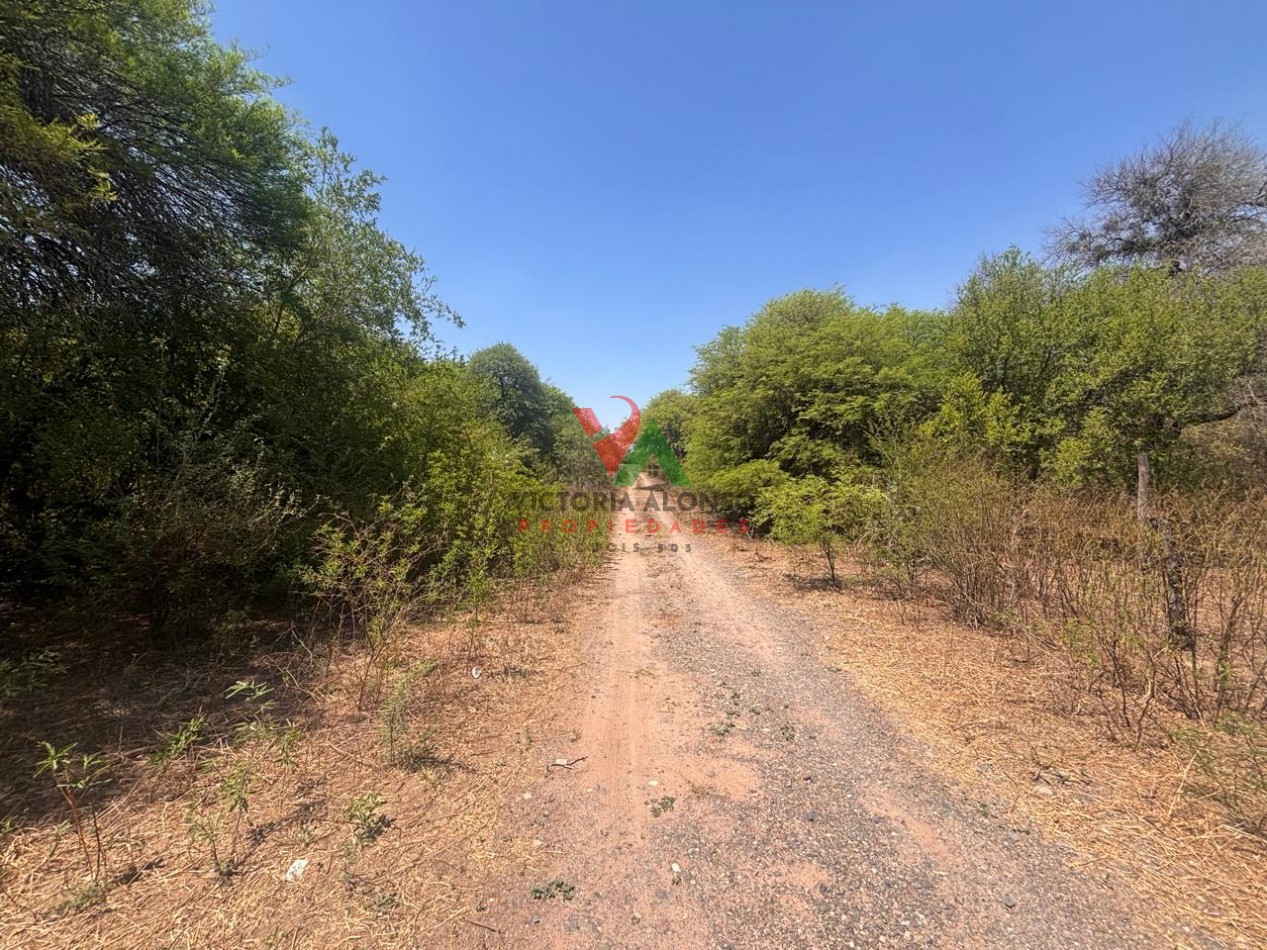 Venta de hectareas en finca Balbuena