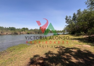 Venta de hectareas en finca Balbuena